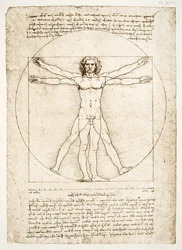 De Verhoudingen van het Menselijk Lichaam (naar Vitruvius), c.1492 (facsimile)